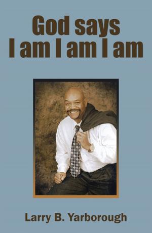 Cover of the book God Says I Am I Am I Am by Bob A. Hall