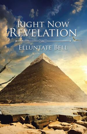Book cover of Right Now Revelation