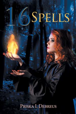 bigCover of the book 16 Spells by 