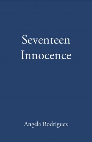 Book cover of Seventeen Innocence