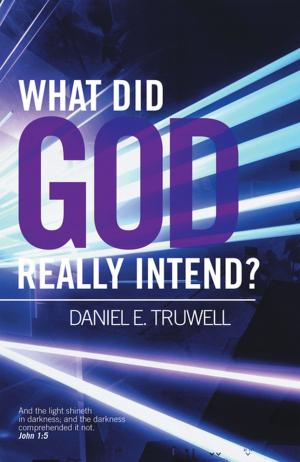 bigCover of the book What Did God Really Intend? by 