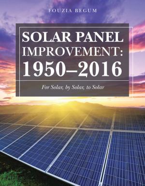 Cover of the book Solar Panel Improvement: 1950–2016 by Michael R. Preston, Nadine T. Preston