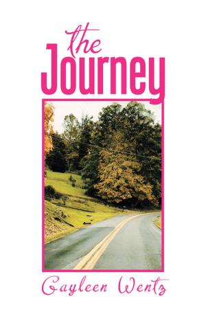 Cover of the book The Journey by Igor A. Bagrov