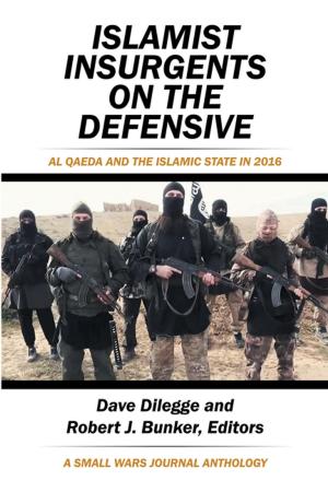 Cover of the book Islamist Insurgents on the Defensive by Cody McCandless