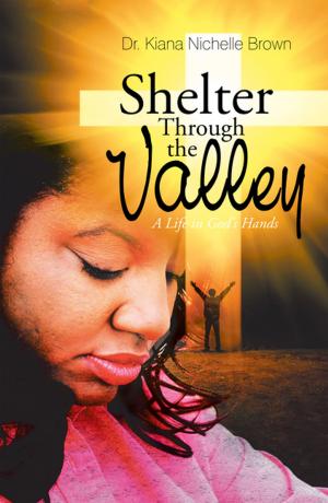 Cover of the book Shelter Through the Valley: a Life in God’S Hands by James B. Harrison Jr.