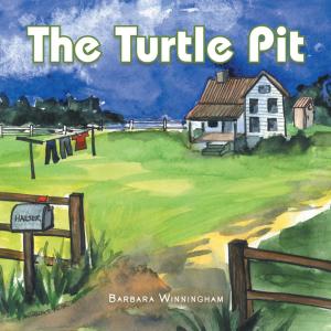 Book cover of The Turtle Pit