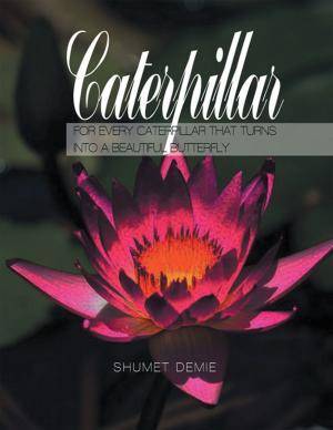 Cover of the book Caterpillar by Glenda Pearson