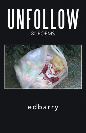 Cover of the book Unfollow by Yosief Tewolde (Seber)