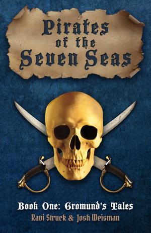 Cover of the book Pirates of the Seven Seas by Marie Dina
