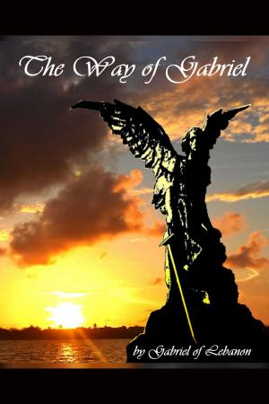 Cover of the book The Way of Gabriel by Pamela Phillips