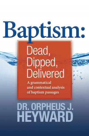 Cover of the book Baptism by Paiva Netto