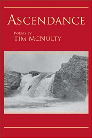 Cover of the book Ascendance by John Palmer