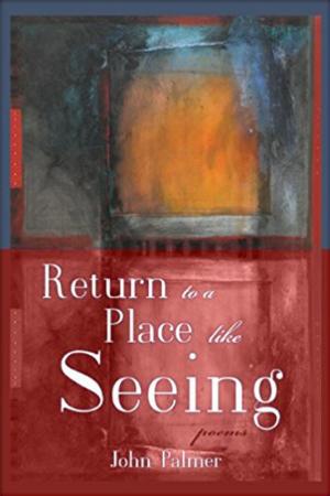 Cover of the book Return to a Place Like Seeing by Sarah Plimpton