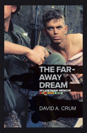 Cover of the book The Far-Away Dream by Rebecca Sullivan