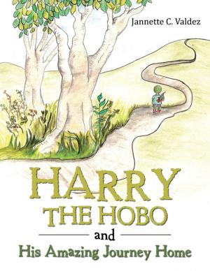 Cover of the book Harry the Hobo and His Amazing Journey Home by Donna Barnett