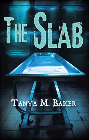 Cover of the book The Slab by Martin G Kavanaugh