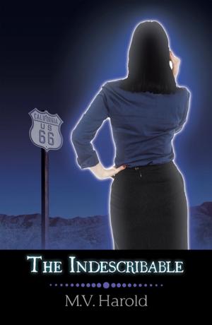 Cover of the book The Indescribable by LaShundra D. Thomas