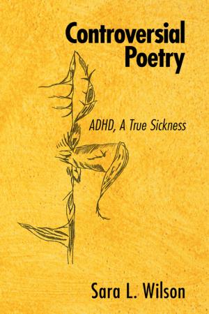 Cover of the book Controversial Poetry by Paul M. Roddick