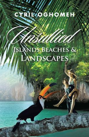 Cover of the book Unsullied Islands, Beaches & Landscapes by Ryan Josey