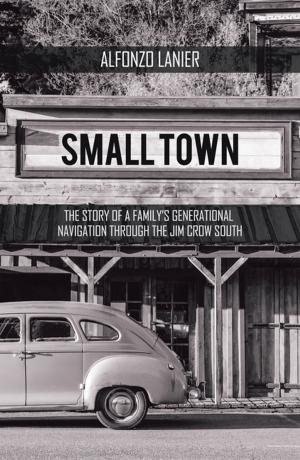 Cover of the book Small Town by Philip K Edwards