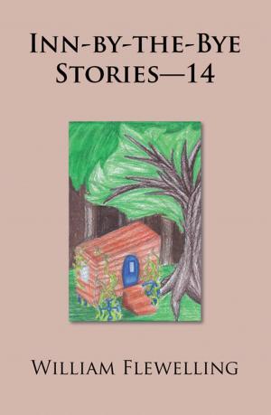 Book cover of Inn-By-The-Bye Stories—14