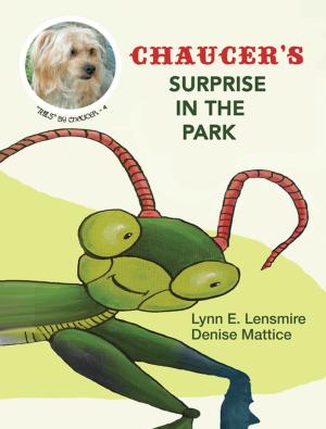 Book cover of Chaucer’S Surprise in the Park