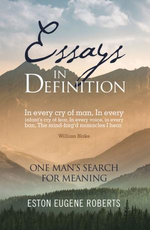 Cover of the book Essays in Definition by Bobby Herodes