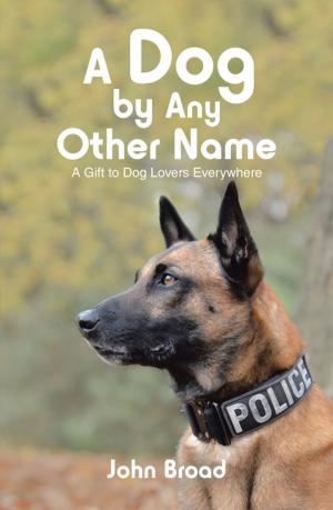 Cover of the book A Dog by Any Other Name by Clive Brown