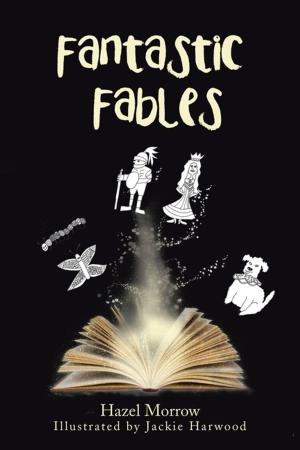 Cover of the book Fantastic Fables by Phil Hinsley