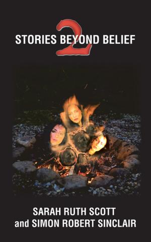 Cover of the book Stories Beyond Belief 2 by D. J. Blue