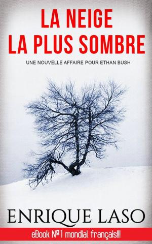 Cover of the book La neige la plus sombre by Claudio Ruggeri