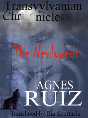 Cover of the book The Newlyweds by Juan Moises de la Serna