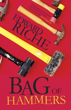 Cover of the book Bag of Hammers by Trudy Morgan-Cole