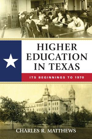 Cover of the book Higher Education in Texas by Katia Fach Gómez