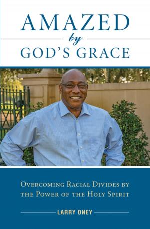 Cover of the book Amazed by God's Grace by Stephen J. Binz