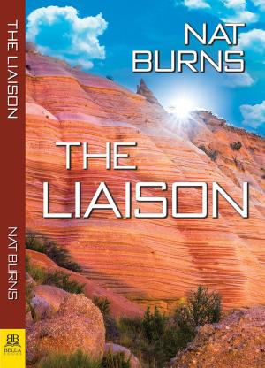 Book cover of The Liaison