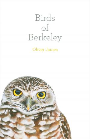 Cover of the book Birds of Berkeley by David Mas Masumoto, Nikiko Masumoto