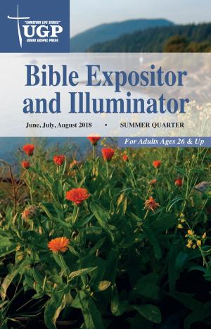 Cover of the book Bible Expositor and Illuminator by Owota Akpobowei Yankee
