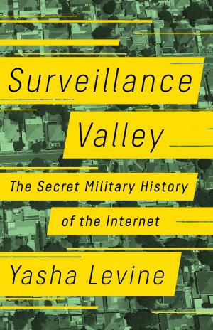 Cover of the book Surveillance Valley by Alex Beam