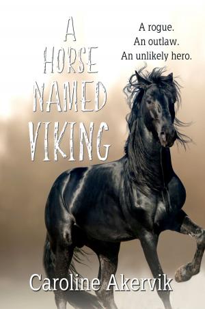 Cover of the book A Horse Named Viking by B.D. Messick