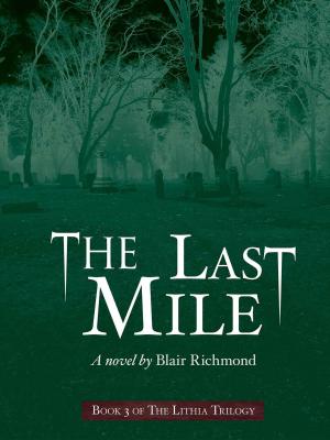 Cover of the book The Last Mile (Book Three of The Lithia Trilogy) by Julie Christine Johnson