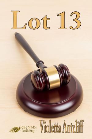 Cover of the book Lot 13 by Elizabeth Ann Scarborough