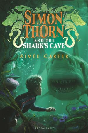 Cover of the book Simon Thorn and the Shark's Cave by Liz Carmichael