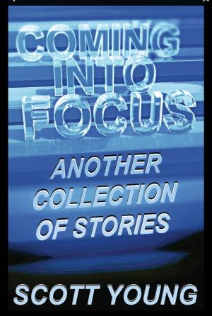 Cover of the book Coming Into Focus by Alicia Danielle Voss-Guillen