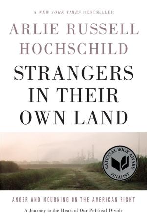 Cover of the book Strangers in Their Own Land by Noam Chomsky