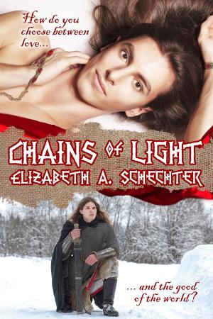 Cover of the book Chains of Light by Todd Michaels