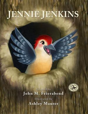 Cover of the book Jennie Jenkins by James Jordan, James Whitbourn