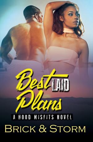 Cover of the book Best Laid Plans by Amir Sanchez