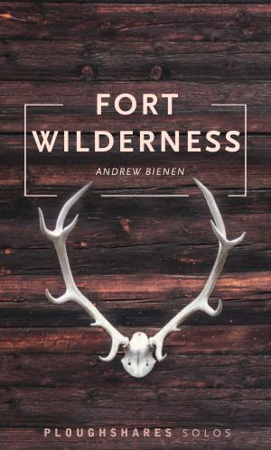 Cover of the book Fort Wilderness by Brian Eugenio Herrera