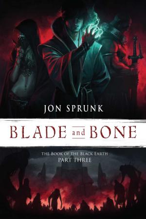 Cover of the book Blade and Bone by Sean Williams